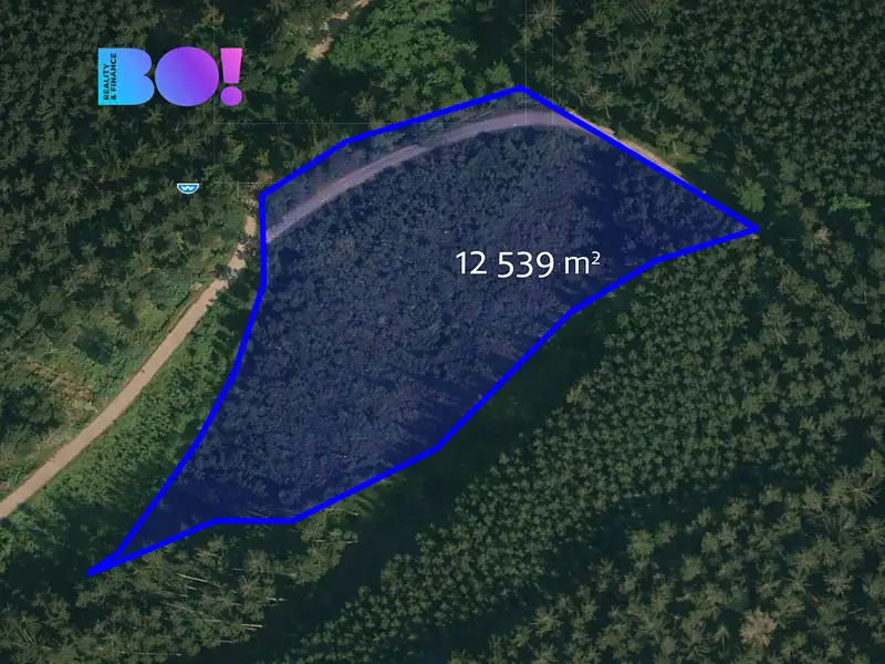 Prodej lesa 58310 m², Jasenná – náhled fotky 2