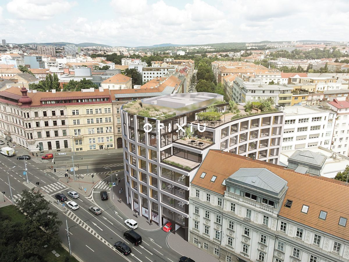 Pronájem obchodního prostoru 234 m²