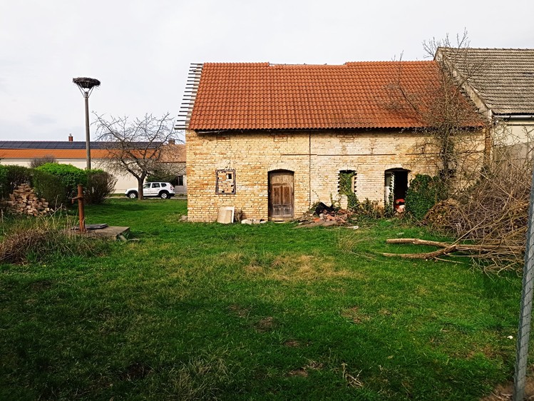 Ostatní