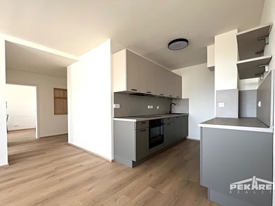 Pronájem bytu 3+kk 53 m² (Jednopodlažní)