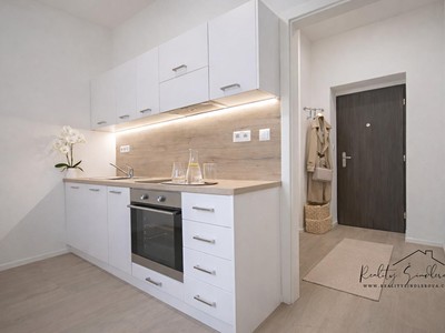 Pronájem bytu 1+1 29 m²