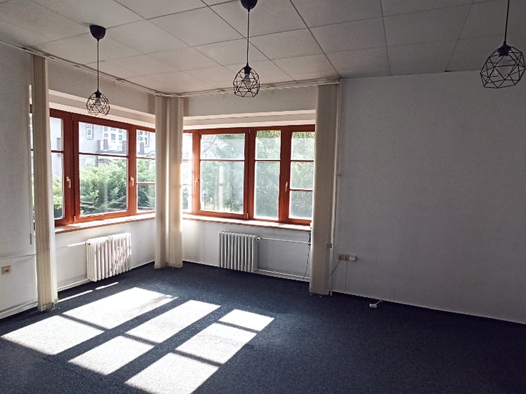 Будинок на продаж, 229 м² (4 з 18)