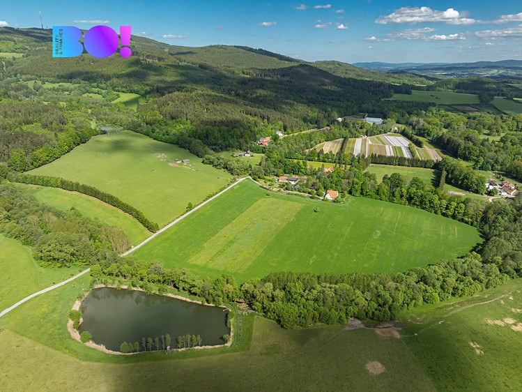 Ділянка на продаж, 55 021 м² (5 з 8)