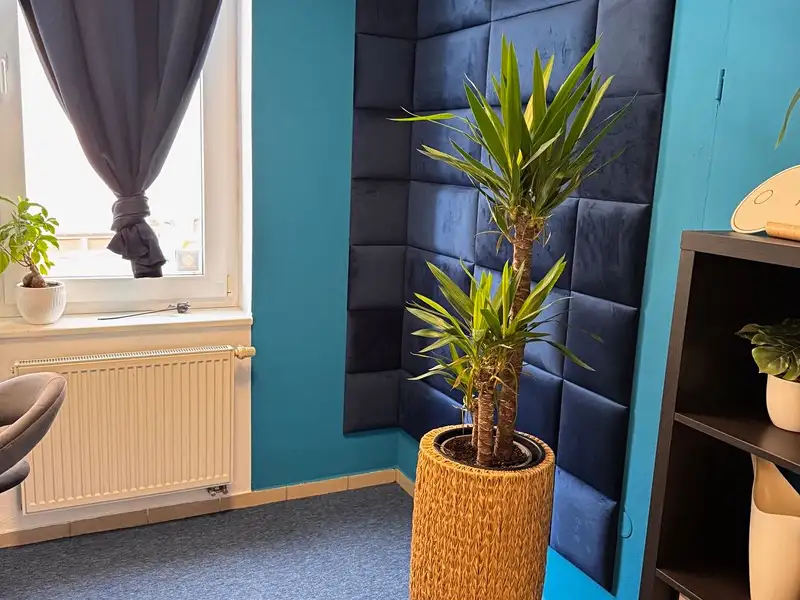 Pronájem obchodního prostoru 50 m², Jablonec nad Nisou – náhled fotky 3