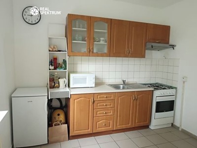 Pronájem bytu 1+1 42 m²