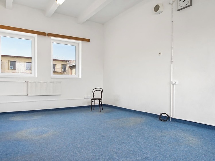 Pronájem komerčního prostoru, 1 000 m² (8 z 18)