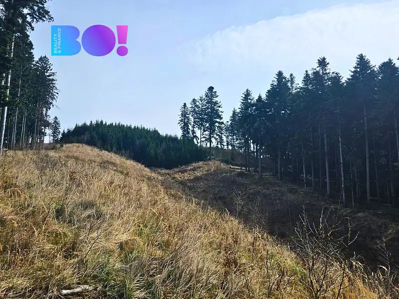 Prodej lesa 58310 m², Jasenná – náhled fotky 3
