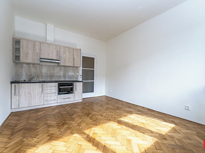 Pronájem bytu 1+kk 26 m² (Jednopodlažní)