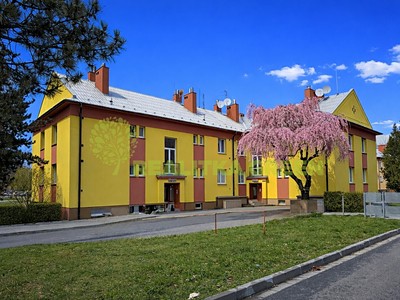 Prodej bytu 3+1 79 m²