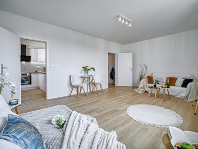 Pronájem bytu 1+1 40 m²