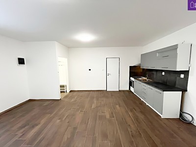 Pronájem bytu 1+kk 50 m²