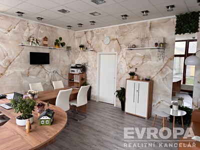 Pronájem komerčního prostoru, 50 m² (2 z 9)