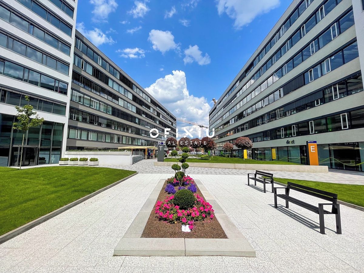 Pronájem kanceláře 284 m² – fotografie 3