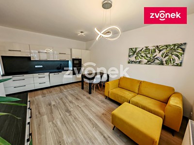Pronájem bytu 3+kk 55 m²