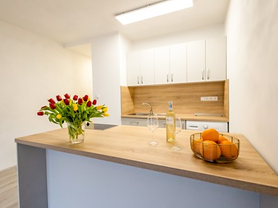 Pronájem bytu 1+kk 29 m²