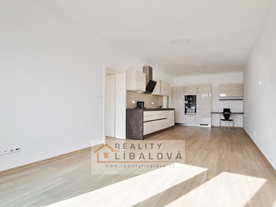 Pronájem bytu 2+kk 56 m²