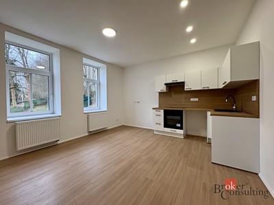Pronájem bytu 1+kk 29 m²