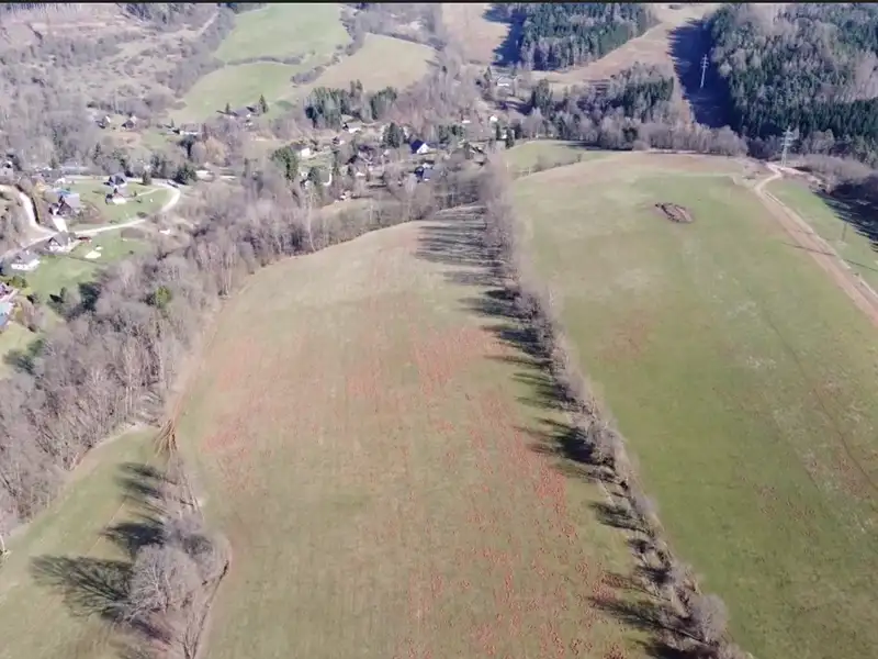 Prodej louky 282560 m², Vidochov – náhled fotky 2