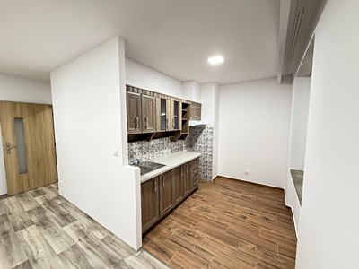 Prodej bytu 2+kk 48 m² (Jednopodlažní)