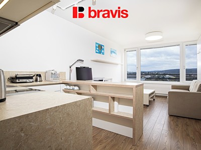 Pronájem bytu 1+kk 29 m² (Jednopodlažní)