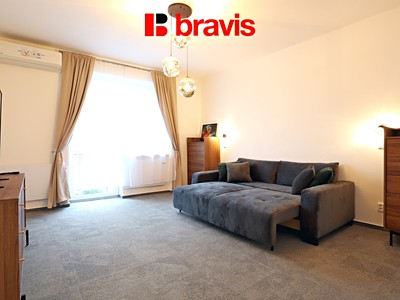 Pronájem bytu 1+1 43 m²