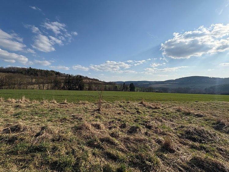 Grundstück zum Kauf, 6.579 m² (8 von 12)