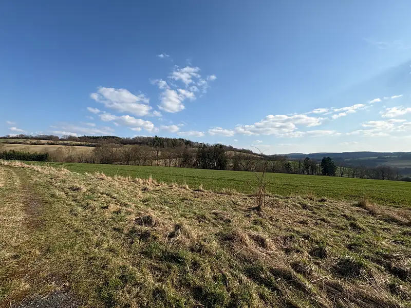 Prodej stavebního pozemku 6579 m², Petrovice – náhled fotky 2
