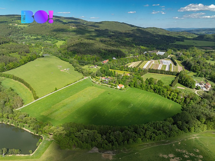 Ділянка на продаж, 55 021 м² (6 з 8)