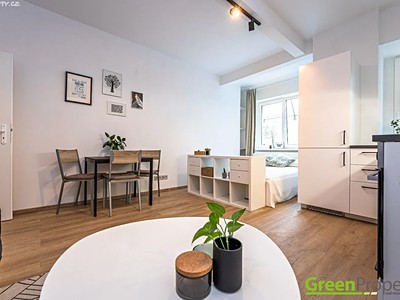 Pronájem bytu 1+kk 30 m² (Jednopodlažní)