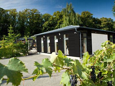 Prodej komerční nemovitosti 380 m²