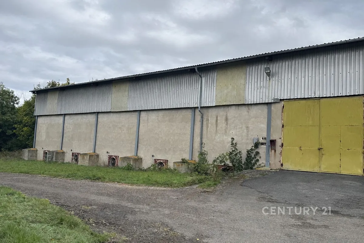 Prodej skladového prostoru 1262 m²