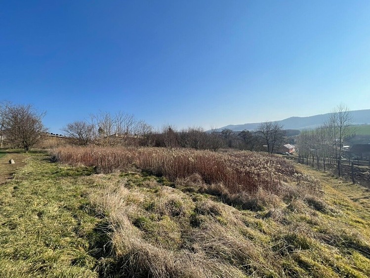 Grundstück zum Kauf, 1.821 m² (4 von 7)