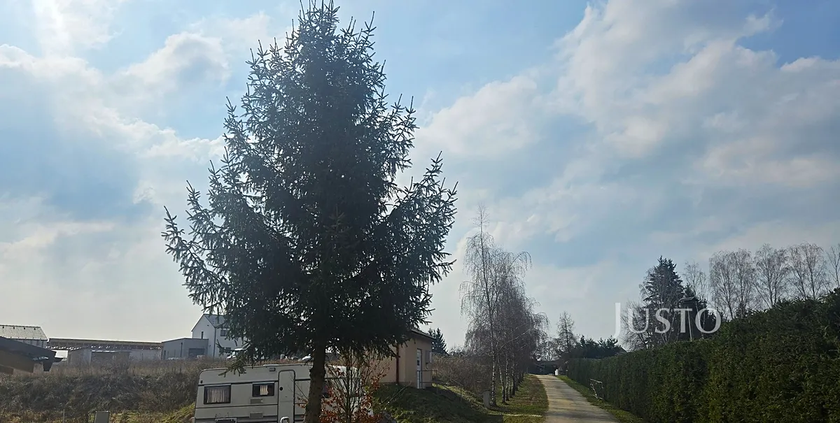 Fotka 13 z 17