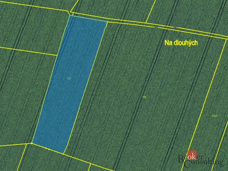 Prodej pole 28045 m², Nový Bydžov – náhled fotky 3