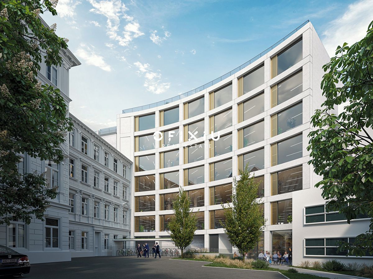 Pronájem obchodního prostoru 234 m² – fotografie 5