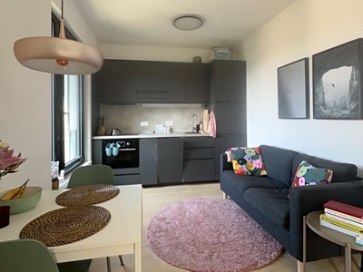 Pronájem bytu 1+kk 35 m²