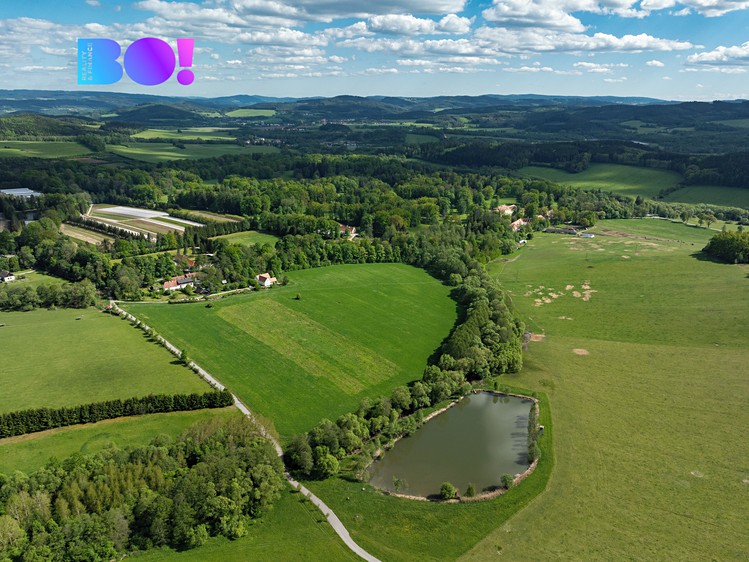 Ділянка на продаж, 55 021 м² (3 з 8)