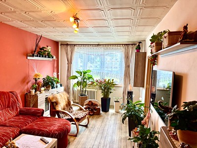 Prodej bytu 3+1 74 m² (Jednopodlažní)