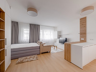 Pronájem bytu 1+kk 35 m²