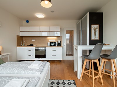 Pronájem bytu 1+kk 25 m²