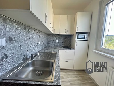 Pronájem bytu 1+1 37 m²