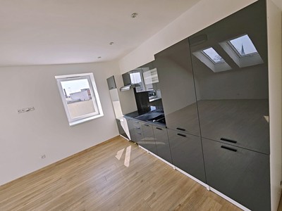 Pronájem bytu 2+kk 44 m² (Jednopodlažní)