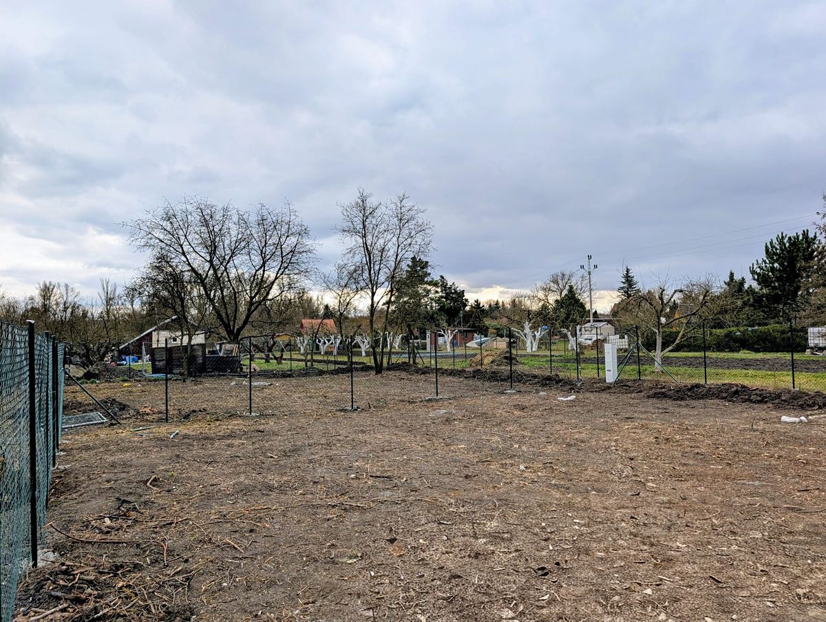 Pronájem zahrady 330 m² – fotografie 2