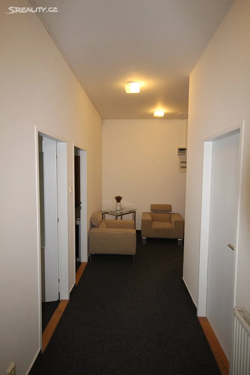 Pronájem obchodního prostoru 152 m² - Widok 4