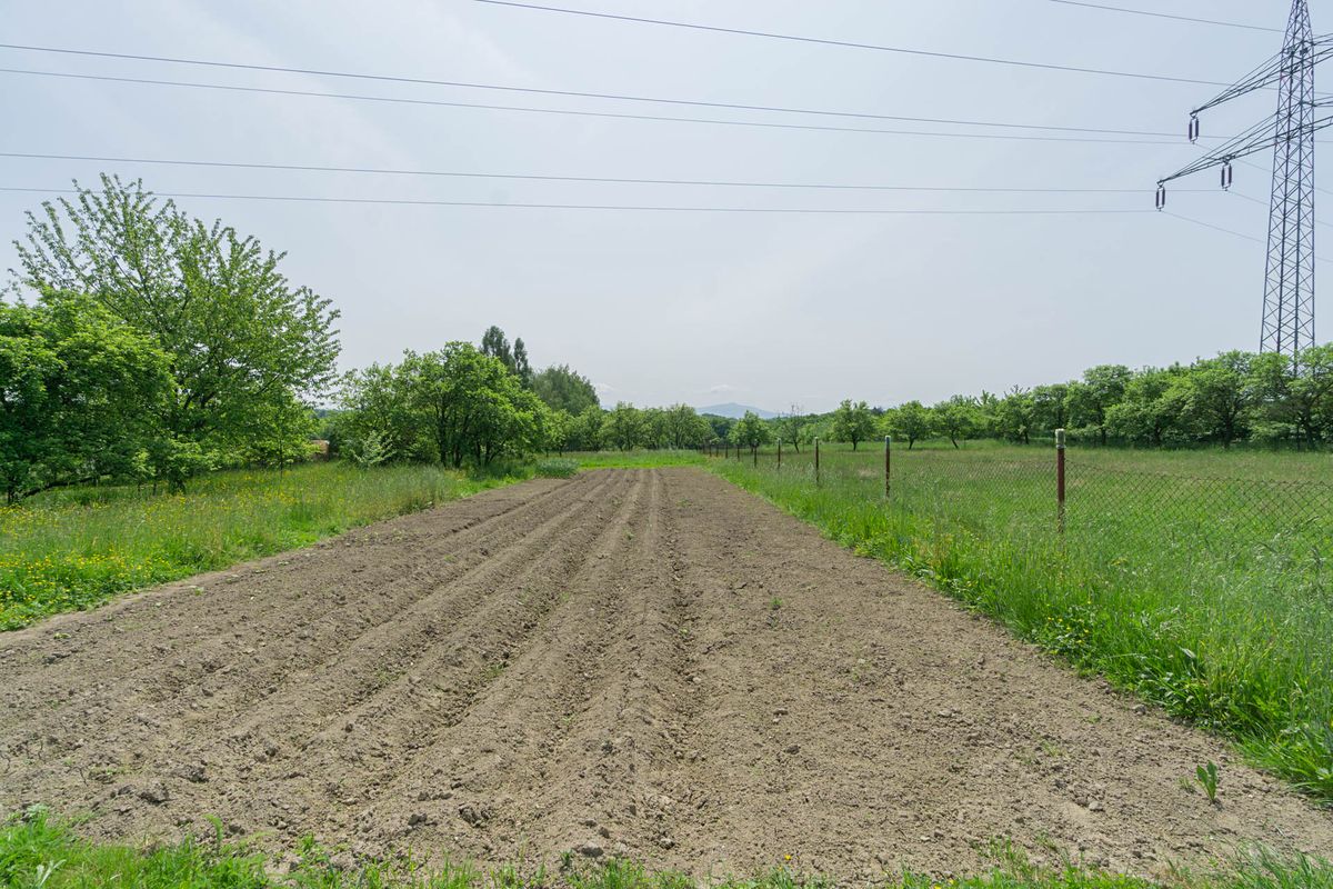 Prodej stavebního pozemku 1511 m² – fotografie 2