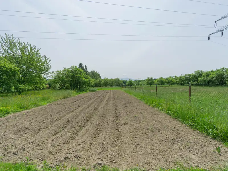 Prodej stavebního pozemku 1511 m², Bruzovice – náhled fotky 2
