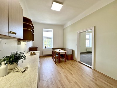 Pronájem bytu 1+1 53 m²