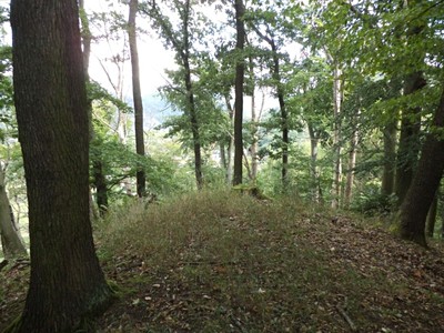 Malé Březno, Okres Most