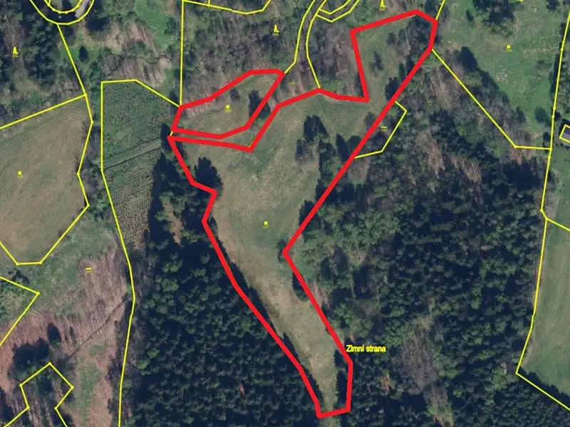 Prodej pozemku 14908 m², Bartošovice v Orlických horách – náhled fotky 2
