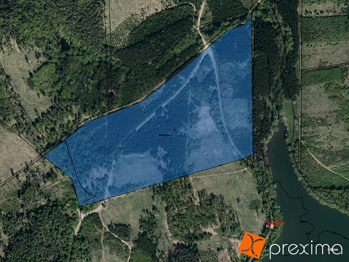 Prodej podílu 1/200 lesa 535 m²